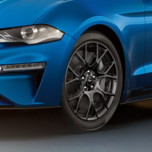 Platišče iz lahke zlitine 19" s 7 kraki, črne barve